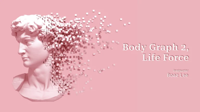 Body Graph 2 | 생명력의 에너지(Life Force)_휴먼스터디에 오신것을 환영합니다.